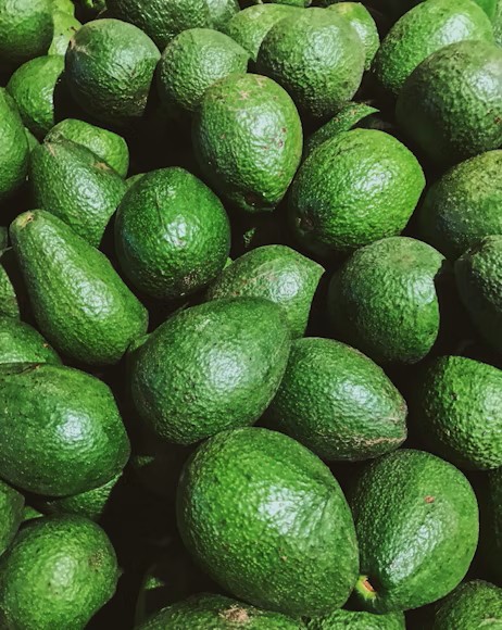 Avocado